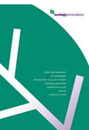 Ecology Consultancy